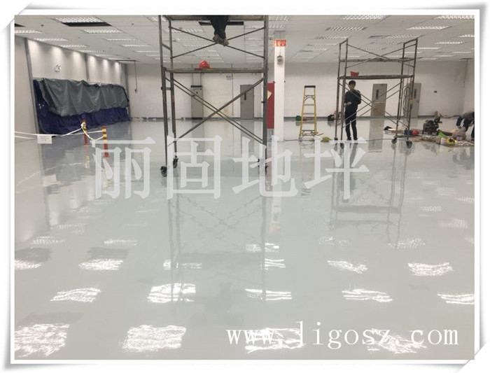 04蘇州工業(yè)園區(qū)外資電器有限公司防靜電環(huán)氧地坪 04蘇州工業(yè)園區(qū)外資電器有限公司防靜電環(huán)氧地坪